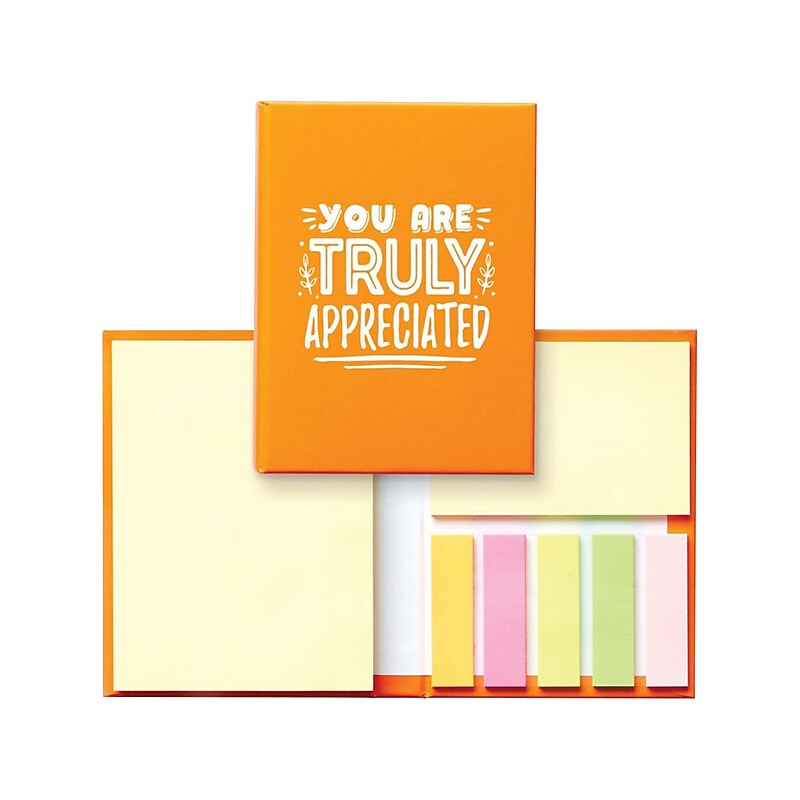 Baudville You Are Truly Appreciated Notes Combo Pack, Orange, 150 Sheet/Pad, 5 Pads/Pack (1393665P531) image 1