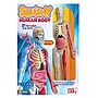 SmartLab Toys Squishy Human Body Boxed Set (834509000540)~#|#~473353F5-A7A0-4ADE-9D3A176B41D3A63B_sc7