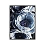 Amanti Art Peony Blue Petals III, Canvas, 23" x 30" (A42675515894)~#|#~4745741C-5D40-4164-91C537026EC5EDE4_sc7