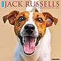 2026 Willow Creek Jack Russells 12" x 12" Monthly Wall Calendar (51627)~#|#~476F515F-ADE1-4BC8-A483DCE67111AA3D_sc7