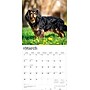 2026 BrownTrout Cavalier King Charles Spaniels 12" x 12" Monthly Wall Calendar (9798330702824)~#|#~477F924F-0C2E-4415-9FB527565BA8C582_sc7