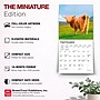 2027 BrownTrout Highland Cows 7" x 7" Monthly Wall Calendar (9798330714247)~#|#~478580AB-FCA4-411C-83DB5C299CFC5E28_sc7