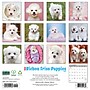 2027 Willow Creek Bichon Frise Puppies 12" x 12" Monthly Wall Calendar, Assorted Colors (59180)~#|#~47BE1452-3184-46A8-A8AAA767B2D6A843_sc7