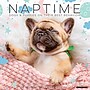2027 Willow Creek Naptime: Dogs & Puppies on their Best Behavior 12" x 12" Monthly Wall Calendar (61411)~#|#~47C4BDCA-C955-4DA0-BF71107CCFC68533_sc7