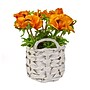 National Tree Company 10" Orange Anemone Flower Bouquet in White Basket (MT81-01626GOR-1)~#|#~47CE5C06-E389-45B3-A8C9E8194924451B_sc7