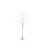 Nearly Natural 6-ft Pre-Lit Artificial White Birch Tree with 90 White LED Lights (T4931)~#|#~47D03071-4C75-4DC9-A8CD981F1DF1AC2E_sc7