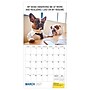2027 TF Publishing Desk Dogs 10" x 12" Monthly Wall Calendar, Multicolored (27-1052)~#|#~47D3E7C6-F160-4562-AF3958AC529086EB_sc7