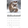 2026 Willow Creek Call of the Wild 12" x 12" Monthly Wall Calendar (50507)~#|#~4809C209-537C-49EB-9EF26A97E7E1A118_sc7
