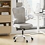 FlexiSpot Pro Comfort Swivel Computer and Desk Chair, Gray (OC1GY-SD-DP)~#|#~480A806D-CC55-499D-8EDA5EEFC1ABF99A_sc7