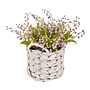 National Tree Company 11" Mauve Lily-of-the-Valley Flowers in White Basket (MT81-00126GMV-1)~#|#~484EF07B-61CC-4663-93CE4F5097CBF200_sc7