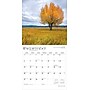 2026 BrownTrout Idaho Wild & Scenic 12" x 12" Monthly Wall Calendar (9798330703838)~#|#~4862CB39-C640-499C-8F83A48F25CC8BD2_sc7