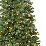 National Tree Company Linden Spruce Artificial Christmas Tree (LIN8-304L-75)~#|#~48950FC0-0BAA-4B2A-90A18B2C875C21EE_sc7