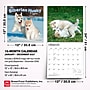 2027 BrownTrout Siberian Husky Puppies 12" x 12" Monthly Wall Calendar (9798330712700)~#|#~48977ECC-E062-478B-B8C14C68C38D0ADE_sc7