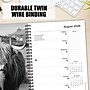 2026 Willow Creek Highland Cows 6.5" x 8.5" Daily & Monthly Personal Organizer (58480)~#|#~48985FDC-E912-4B65-A526CC49E35F86F8_sc7