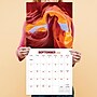 2026 TF Publishing Landscapes 12" x 12" Monthly Wall Calendar, Multi (26-1015)~#|#~48AD2161-A88C-4219-92E38ECF145465EB_sc7