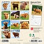 2027 BrownTrout Highland Cows 7" x 7" Monthly Wall Calendar (9798330714247)~#|#~48C16FAB-E211-463F-916736568E313C8F_sc7