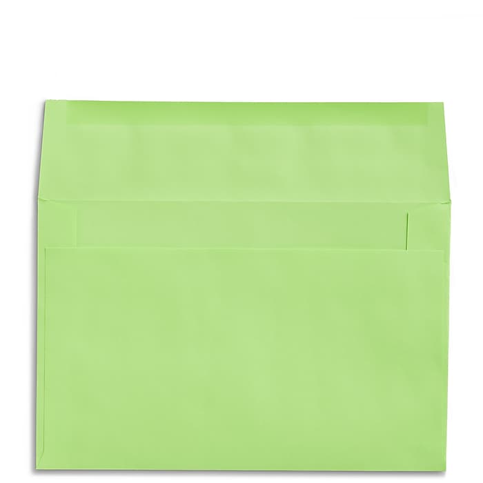 Staples Booklet Envelopes, 8 3/4