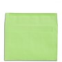 Staples Booklet Envelopes, 8 3/4" x 5 3/4", Assorted Colors, 50/Box (ST20558-CC)~#|#~48C2A8AC-D1CC-4BD8-ACB5BCE3347A927F_sc7