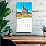 2026 BrownTrout Greyhounds 12" x 12" Monthly Wall Calendar (9798330703555)~#|#~48C4C38C-5EE0-48A2-847950F5F368CE80_sc7