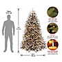 National Tree Company Snowy Dunhill Fir Artificial Christmas Trees, 7 ft. (DUF-300-70)~#|#~48D56CA5-AC16-4FBC-87A01A430753C136_sc7