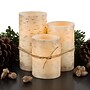 Lavish Home Birch Bark Flameless Candles, 3/Pack (72-FC2008)~#|#~48D85796-EE15-4B6E-B6622280DC8B02DB_sc7