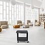 Luxor TUFFY 2-Shelf Multi-Purpose Utility Cart with Electric Power, Black (WT26E)~#|#~48EA23FC-0FD8-4F88-88410DA2C71770FE_sc7