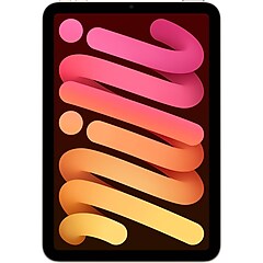 Apple iPad mini 8.3