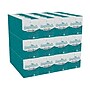 Angel Soft Professional Series  Facial Tissue, 2-ply, 96 Tissues/Box (46580)~#|#~48FA9714-849A-43FE-93BD73EB9F683F01_sc7