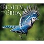 2027 Willow Creek Beauty of Birds 6.2" x 5.4" Daily Day-to-Day Calendar, Assorted Colors (65846)~#|#~48FB8168-FB6F-4AC2-9C61E81A0A03CFB5_sc7
