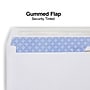Staples Laser Check Size Gummed Security Tinted Business Envelopes, 3 5/8" x 8 7/8", Wove White, 1000/Box (381898/17046)~#|#~49080BE6-F12A-4D65-844CBF009A20E63A_sc7
