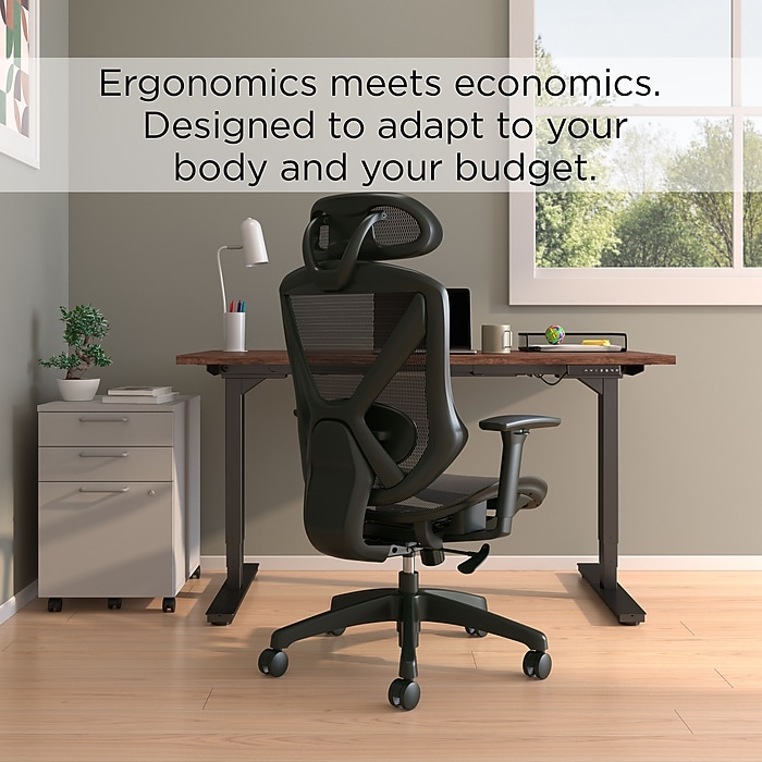 Staples® Dexley Ergonomic Mesh Swivel Task Chair, Black (UN56946