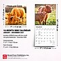 2027 BrownTrout Highland Cows 7" x 7" Monthly Wall Calendar (9798330714247)~#|#~49145599-1CAF-4786-A886202644E4031E_sc7