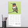 2027 TF Publishing Backyard Birds 7" x 7" Monthly Wall Calendar, Multicolored (27-2013)~#|#~494322EB-F19F-49E5-A2E63559C18C0A4A_sc7