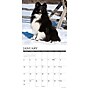 2027 Willow Creek Shelties 12" x 12" Monthly Wall Calendar, Assorted Colors (62302)~#|#~494A5F6F-D267-472A-82156FF8F13169FC_sc7