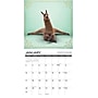 2027 Willow Creek Llama Yoga 12" x 12" Monthly Wall Calendar, Assorted Colors (61084)~#|#~4950ABD1-334B-4862-8E634C7D4CCF7736_sc7