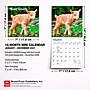 2027 BrownTrout Baby Goats 7" x 7" Monthly Wall Calendar, Assorted Colors (9798330709762)~#|#~496B40D0-74E1-4BBC-99AB43EA09A030F2_sc7