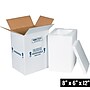8" x 6" x 12" Insulated Shipping Containers, White (212C)~#|#~497A3D35-BA51-425F-925A4D4305960D9A_sc7