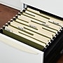 Staples Hanging File Folder, 1/5-Cut Tab, Letter Size, Standard Green, 50/Box (ST266262-CC)~#|#~497C12B8-AFB1-46E0-B633C5B1584ADC1A_sc7
