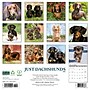 2026 Willow Creek Dachshunds 12" x 12" Monthly Wall Calendar (50941)~#|#~4986D03A-482B-41FC-9876B0CE56756374_sc7