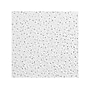 Armstrong GEORGIAN Beveled Tegular Edge Ceiling Tile, 24" x 24", White, 16/Carton (BP1752B)~#|#~49958909-F29A-4234-BFF8092B9FE5D79B_sc7