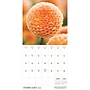 2026 TF Publishing Flowers 12" x 12" Monthly Wall Calendar, Multi (26-1034)~#|#~4999BE6B-5AE6-47DD-B1EF5A541D05E028_sc7