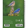2026 Willow Creek Backyard Birds 6.5" x 8.5" Daily & Monthly Personal Organizer (54574)~#|#~49D382AA-5FEA-4745-92D33BF915DD8674_sc7