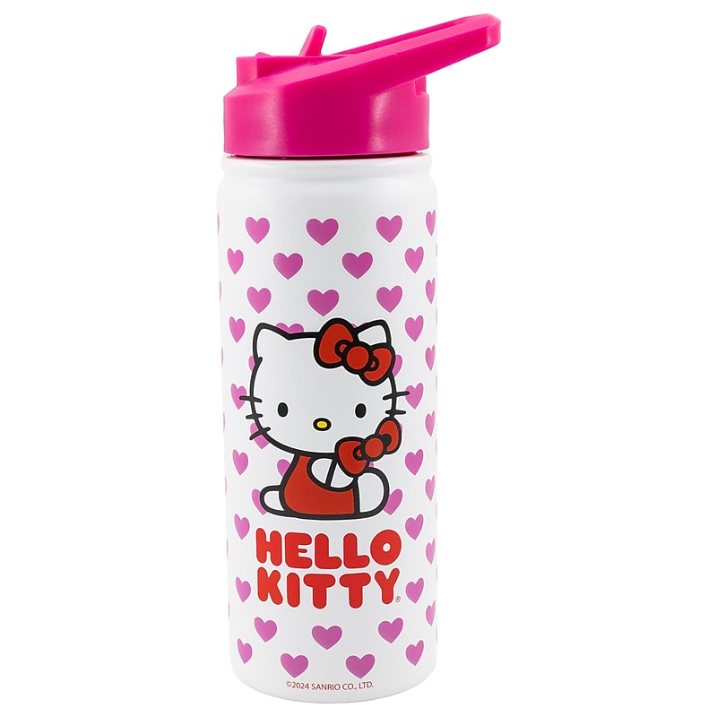 Hello Kitty Stainless Steel Double Wall Insulated Water Bottle, 20 oz. (C6B139SL) image 1