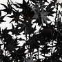 Nearly Natural Pre-Lit Artificial Halloween Black Maple Tree, 4' (T5217)~#|#~49E77491-82F4-4D5A-A656F1027DBBBB19_sc7