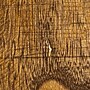 Storied Home Paulownia Wooden Round Accent Table, Brown (EC1710)~#|#~4A25BAE9-77C5-4055-9C4E9DB45CA5706F_sc7