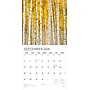 2026 Plato Psalms 12" x 12" Monthly Wall Calendar (9798330706716)~#|#~4A5E3198-303B-4CF7-8BAD8F311DC27EAC_sc7