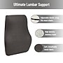 Mind Reader Memory Foam Ergonomic Lower Back Cushion Office Chair Support, Gray (VERTBACK-GRY)~#|#~4A665D9F-C433-45B0-A0DEDD11CF63743B_sc7