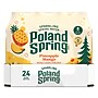 Poland Spring Pineapple Mango Sparkling Purified Water, 16.9 oz., 24/Carton (19991128) ~#|#~4A6E1298-C547-46C8-AF1C25E69B87D5C0_sc7
