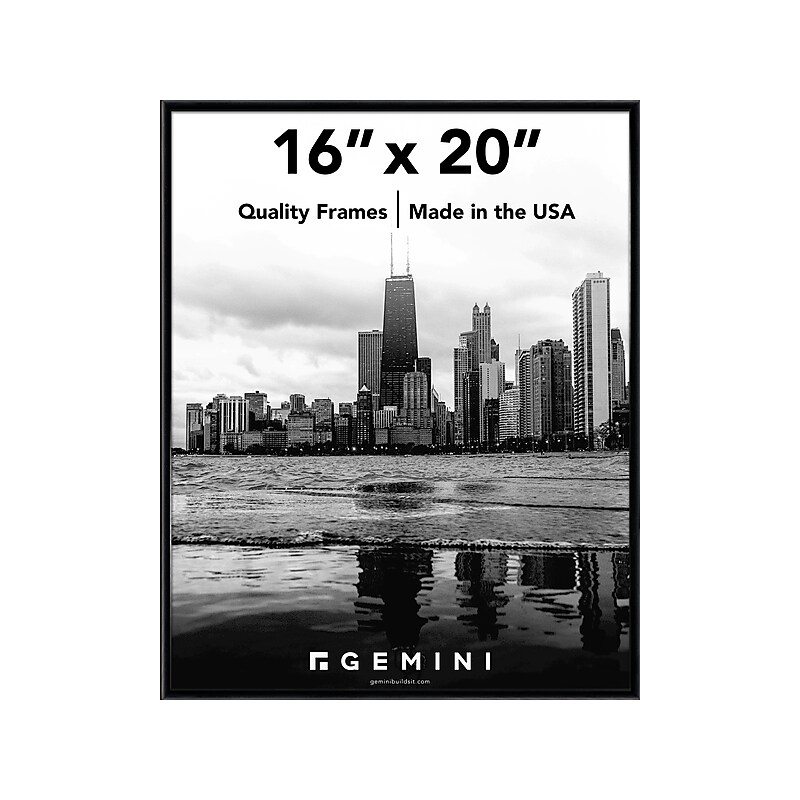 Gemini 16" x 20" Metal Picture Frame, Matte Black (GOEM-5-21) image 1