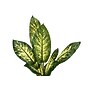 Monarch Specialties Inc. 47" Artificial Evergreen Tree in Pot (I 9535)~#|#~4A936BB7-F058-4CF8-B621024807A9BA43_sc7